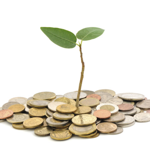 Creando valor: la ventaja de ser privado y pequeño